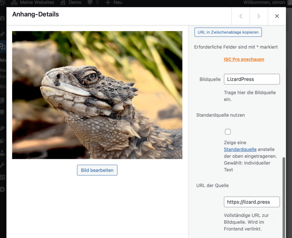 Screenshot des Anhang-Einfügen-Dialogs von WordPress. Auf der linken Seite ist ein hochgeladenes Bild zu sehen, auf der rechten Seite Felder für Metadaten wie "Bildquelle" oder "URL der Quelle".